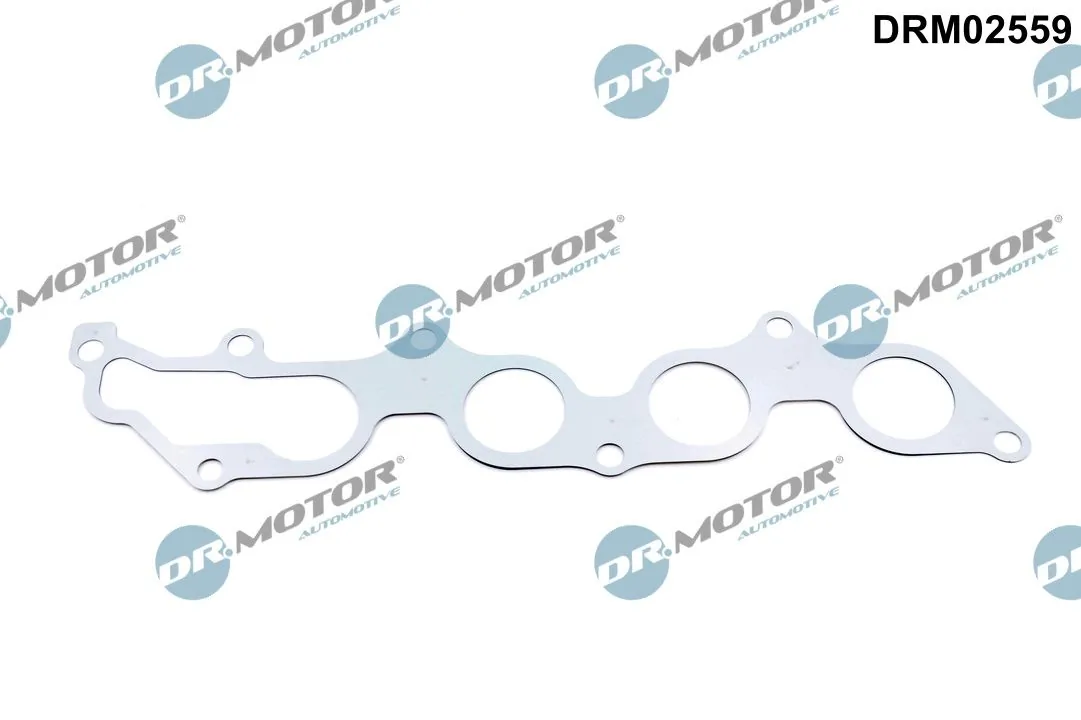 Gasket, exhaust manifold
